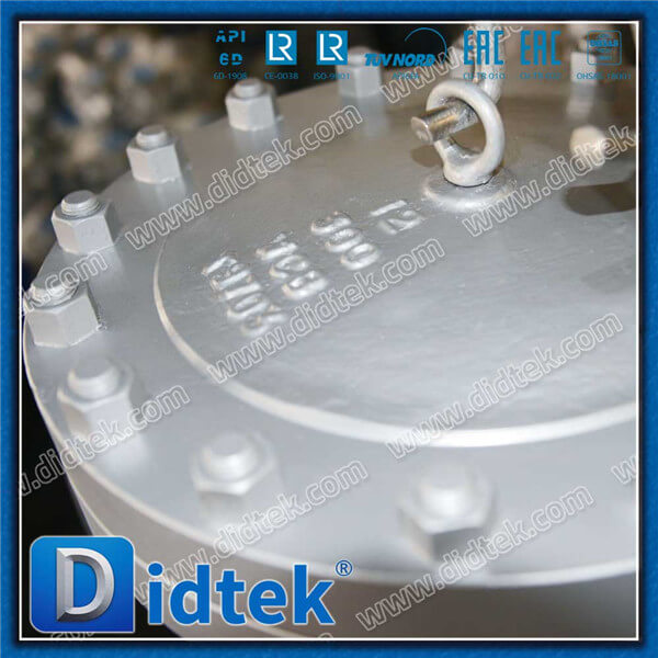 Didtek BS1868 Cast Steel Swing Check Valve