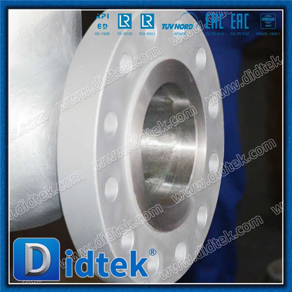 Didtek BS1868 Cast Steel Swing Check Valve
