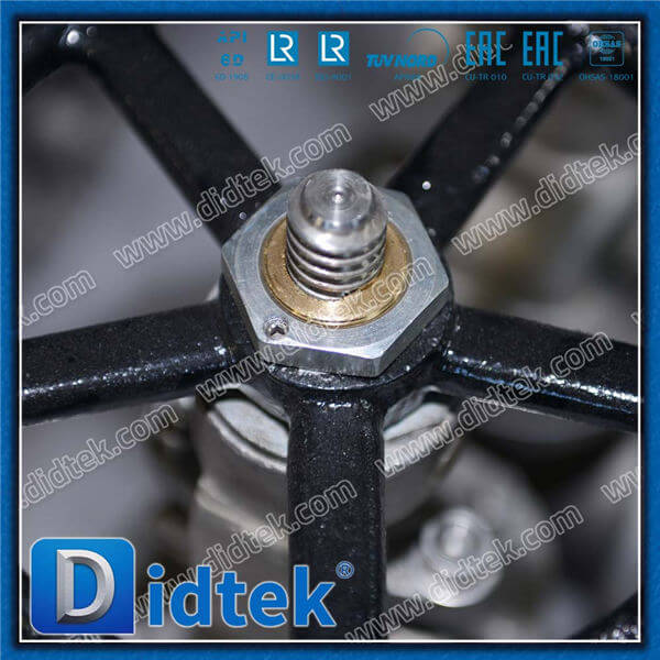 Didtek Stainless Steel A351 CF3M HW Globe Valve 
