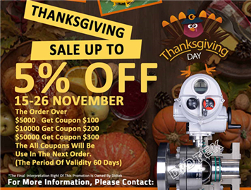 Thanksgiving Promotion From Didtek