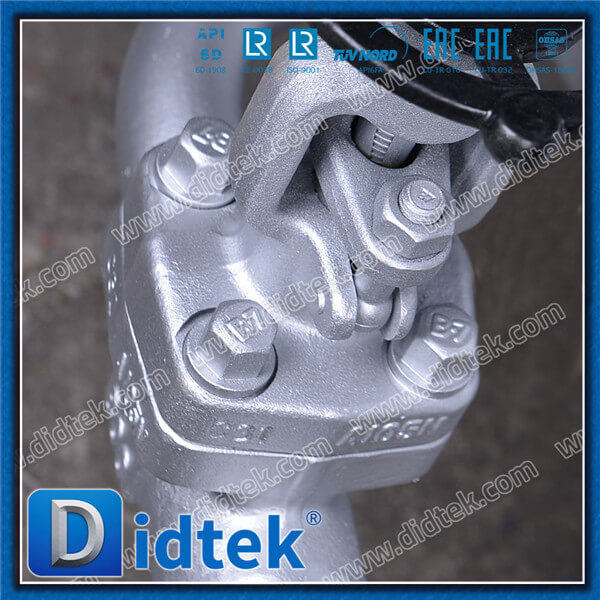 Didtek Cast Steel A216 WCB Bolt Bonnet Gate Valve With A105N Bypass