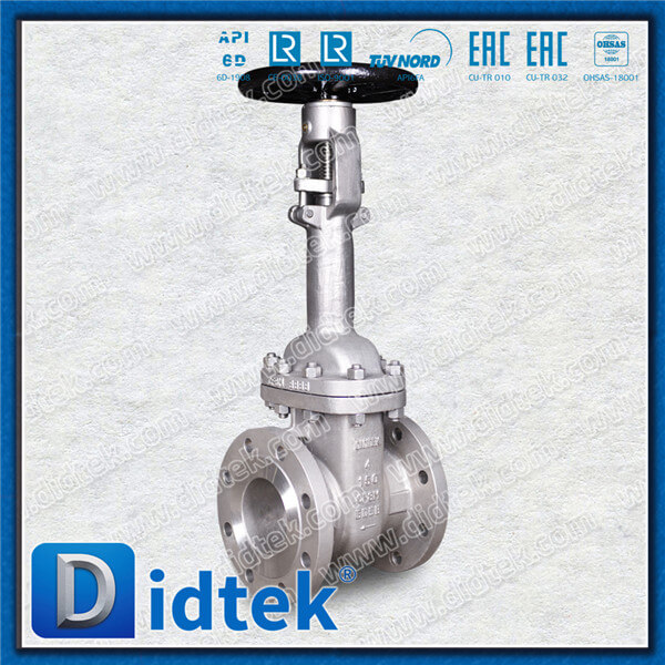 Didtek Cryogenic Extension Stem Hitachi Project In Russia CF8M Gate Valve