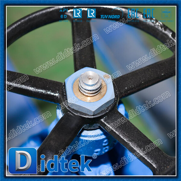 Didtek Gasoline 3'' 300LB WCB Heat Jacket Gate Valve