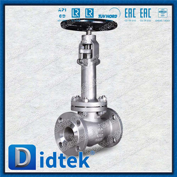Didtek Cryogenic Globe Valve With F316 Material Trim No.10
