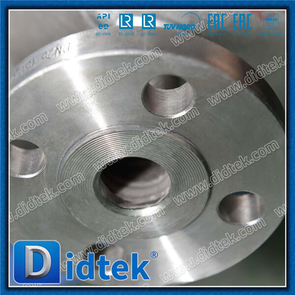 Didtek 4inch 300LB CF8 SS304 Heat Jacket Swing Check Valve