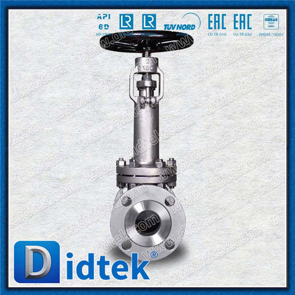 Didtek Cryogenic Globe Valve With F316 Material Trim No.10