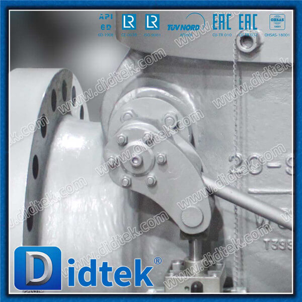 Didtek API6D Full Open Non Slam Swing Check Valve With Counterweight