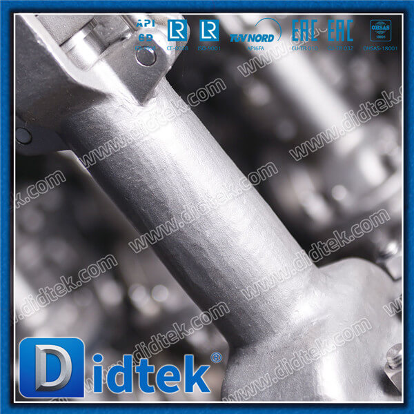 Didtek Cryogenic Extension Stem Hitachi Project In Russia CF8M Gate Valve