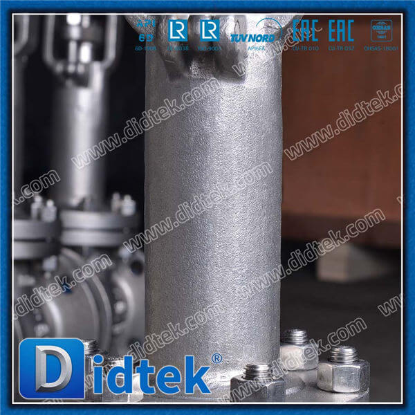 Didtek Cryogenic Globe Valve With F316 Material Trim No.10
