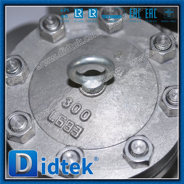 Didtek Stainless Steel 316L CF3M Swing Check Valve