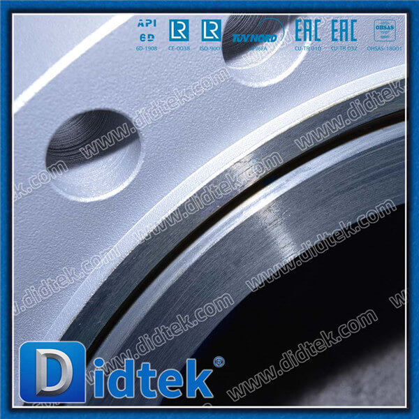 Didtek Full Port Hard Faced Metal Seat RTJ Fill ANSI Body Swing Check Valve