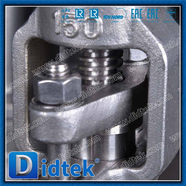Didtek Cryogenic Globe Valve With F316 Material Trim No.10